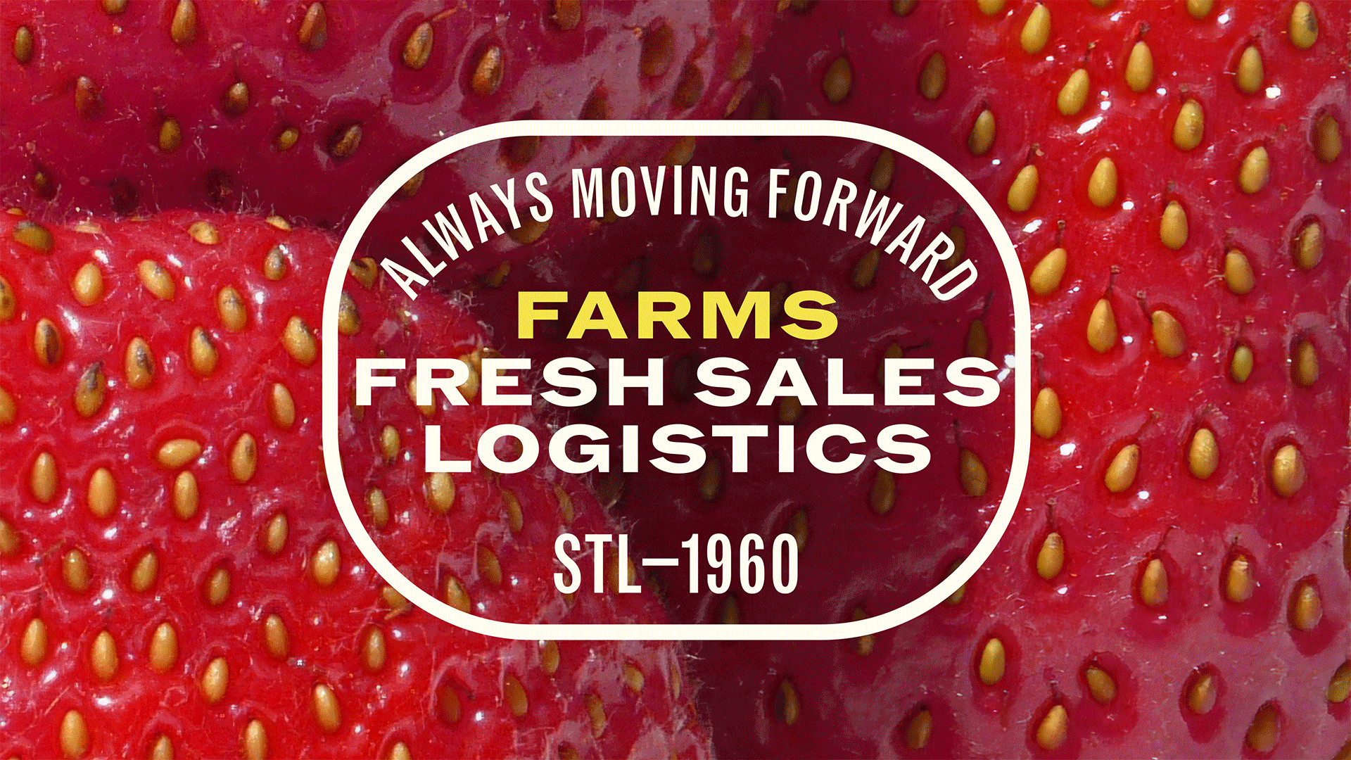 An animation showcasing a variety of Lange taglines superimposed over imagery